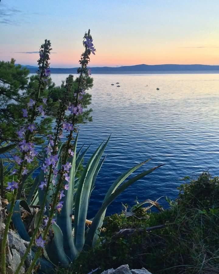 Sea View Ela Apartments Podgora Bagian luar foto